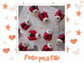 Imã de Joaninha